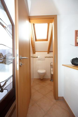 a bathroom with a toilet and a window at Ferienwohnung Weingut Ackermann in Zeltingen-Rachtig