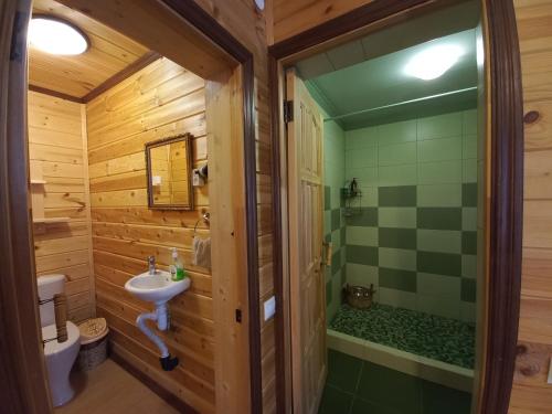 スーズダリにあるДом для отдыха с саунойの小さなバスルーム(シンク、シャワー付)
