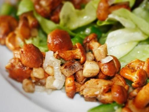 a salad with nuts and lettuce on a white plate at Hotel Zur Krone in Ronneburg