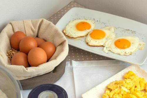 アパートホテルの敷地内または近くでの食事または食べ物