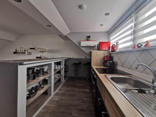eine Küche mit einer Spüle und einer Theke in der Unterkunft Richter Apartments Finsterwalde in Finsterwalde