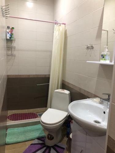 ウスチ・ムニにあるTurbaza Usadba v Munakhのバスルーム(トイレ、洗面台付)