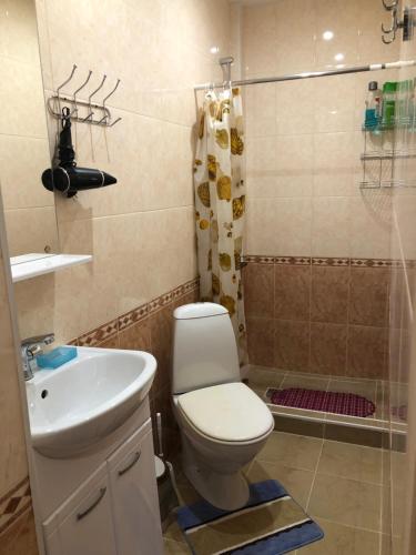 ウスチ・ムニにあるTurbaza Usadba v Munakhのバスルーム(トイレ、洗面台、シャワー付)