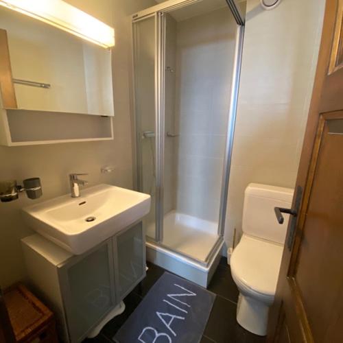 a bathroom with a sink and a shower and a toilet at Immeuble Mont Noble in Les Collons