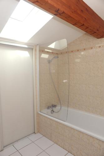 une salle de bain avec une douche avec une porte vitrée dans l'établissement A la Suite du Jardin de l'Isle, à Vienne