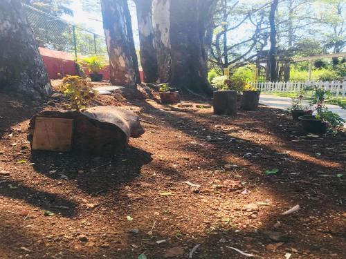 a garden with trees and plants on the ground at Citadel Resort in Panchgani