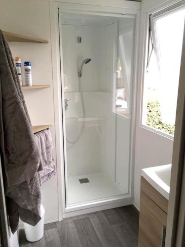 une salle de bain avec douche et lavabo dans l'établissement Bungalow cosy à Onzain avec terrasse & piscine partagée, à Onzain