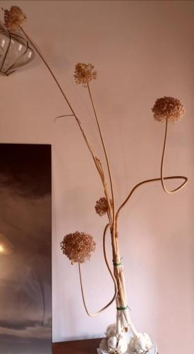 a vase with flowers in it on a table at Locanda Vesuna Hotel Countryhouse in Pienza