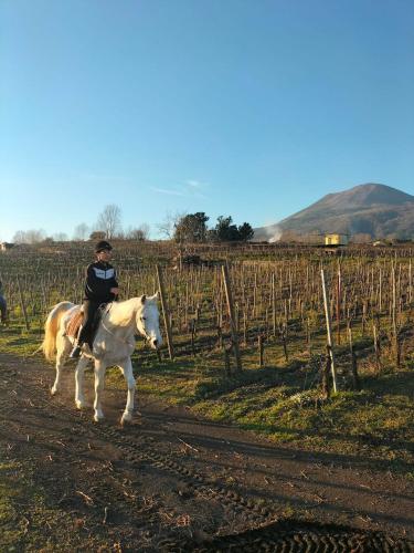 a person riding a horse down a dirt road at Vesuvio Inn Bed & Wine Experience in Boscotrecase