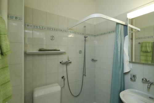 a bathroom with a shower and a toilet and a sink at Apartment Casa Thuja in Ascona