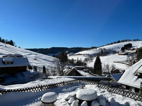 a snow covered roof of a building with a snow covered slope at Cozy Condo, Ski in and Out in Todtnau