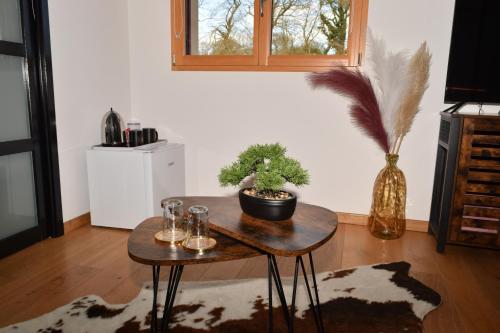 une pièce avec une table avec une plante en pot dessus dans l'établissement Chez Kate et lolo, à Senneville-sur-Fécamp