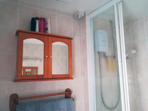 a bathroom with a shower and a wooden cabinet at Acer Cottage in Bampton