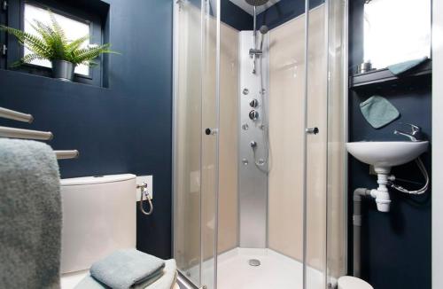 a bathroom with a shower and a sink at Les Gîtes de l'Ecole Buissonnière in Lens