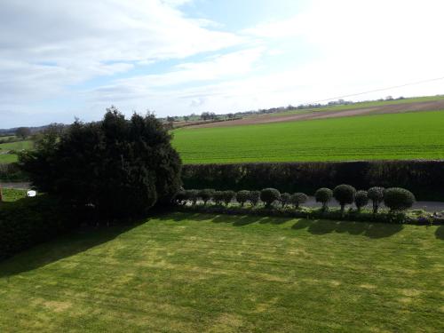 a row of trees in a field of grass at Upper Eyton Farmhouse B&B in Shrewsbury