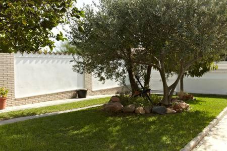 Homing Cambrils 23