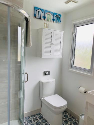 a bathroom with a toilet and a shower and a window at Porth Beach Hotel in Newquay