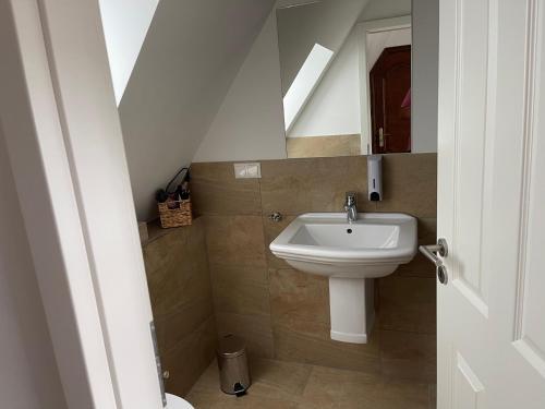 ein Bad mit einem Waschbecken und einem Spiegel in der Unterkunft Pension Ruhrfrosch in Essen