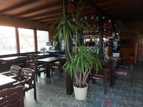 a restaurant with tables and chairs and a potted plant at Vilele Bianca in 2 Mai