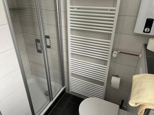 a bathroom with a shower and a toilet at Ferienhaus Küstelnest in Medebach