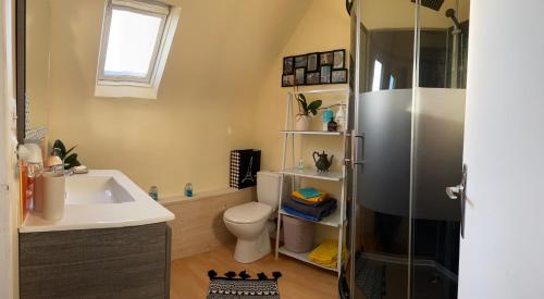 ein Bad mit einem WC, einem Waschbecken und einer Dusche in der Unterkunft Ty Ana in Ploubazlanec