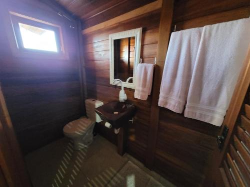 a small bathroom with a toilet and a mirror at Hotel Fazenda Boutique Terra do Gelo in Bom Jardim da Serra