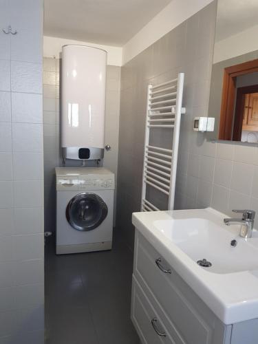 une salle de bains avec lave-linge et lavabo dans l'établissement Apartment La Gleisa 3, à Sestrières