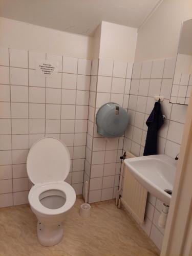 y baño con aseo y lavamanos. en Birkagårdens Vandrarhem, en Åled