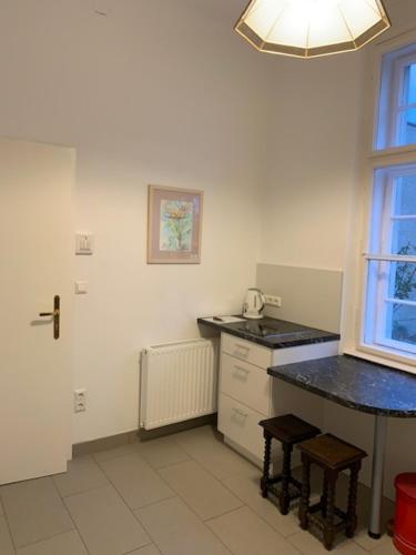 a kitchen with a sink and a counter top at Villa Pazelt Top3 in Bad Vöslau