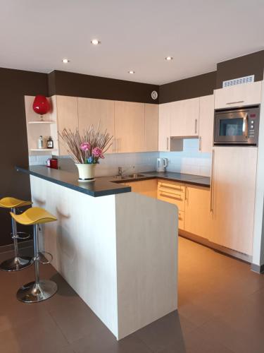 Kuchyň nebo kuchyňský kout v ubytování Appartement Borealis