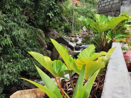 Κήπος έξω από το 2-Bed Apt Sleeps 4 near Beau Vallon Beach