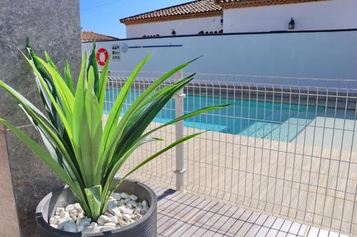 Chalet moderno con pisicina
