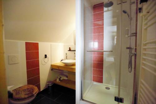 a bathroom with a shower and a toilet and a sink at Le Valombré in Saint-Pierre-de-Chartreuse