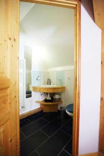 a bathroom with a sink and a toilet at Le Valombré in Saint-Pierre-de-Chartreuse