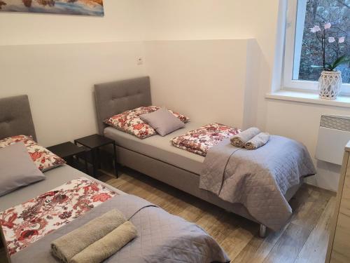 Katil atau katil-katil dalam bilik di Apartamenty u Sikory