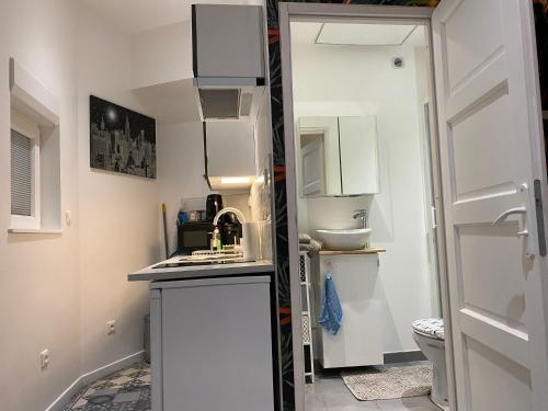 Il comprend une petite cuisine blanche avec un lavabo et des toilettes. dans l'établissement Le petit studio à découvrir..., à Marquette-lès-Lille