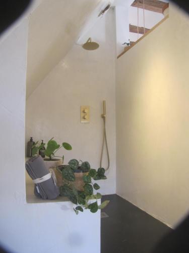a room with a plant sitting on a shelf at Esprit Nature Rêve d'étoiles in Graissac