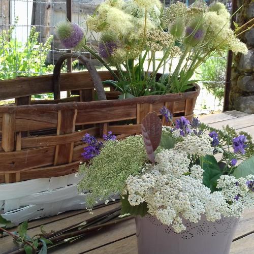 a pail filled with flowers and a basket of plants at Esprit Nature Rêve d'étoiles in Graissac