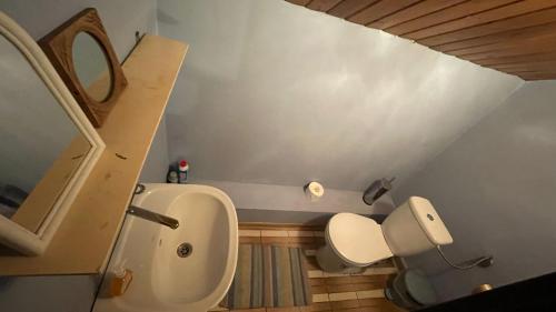a small bathroom with a toilet and a sink at Domek Myśliwski Las Vegas in Mierzyn