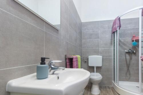 a bathroom with a sink and a toilet and a shower at Luxury house Ivan with 4 bedrooms in Divojevići