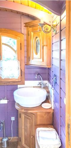une salle de bain avec un lavabo et des toilettes dans l'établissement Studio cosy à Bussac-Forêt avec piscine partagée, 15m², à Bussac-Forêt