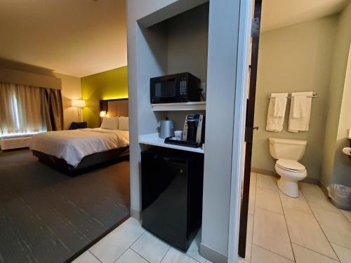 Holiday Inn Express Pearland, an IHG Hotel في بيرلاند: غرفه فندقيه بسرير ومرحاض