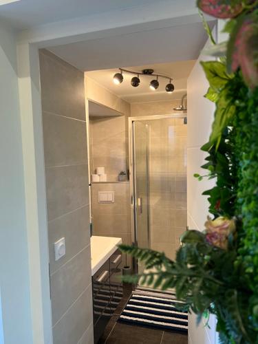 een badkamer met een douche, een wastafel en een spiegel bij La Suite D'Hélène - Appartement T2 50m2 entre Genève et Chamonix - Parking Privé in Scionzier