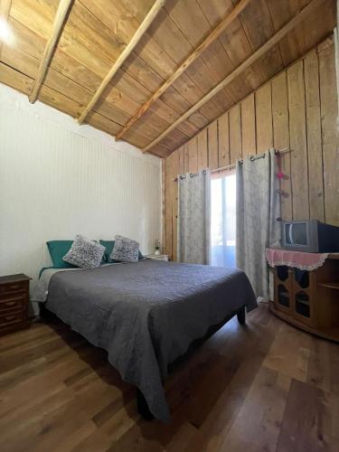 a bedroom with a bed and a television in it at Ruka Huilipan in Nueva Imperial