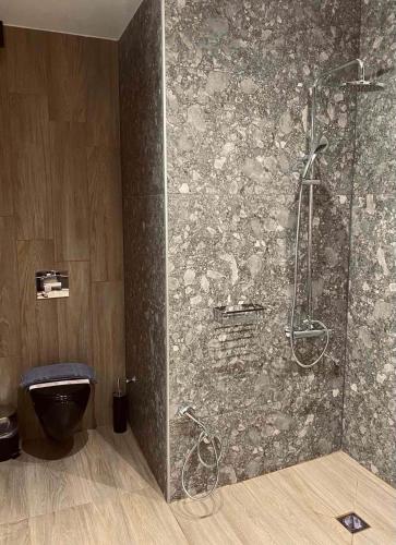 a shower in a bathroom with a stone wall at 11 Luxury Apartments Metsovo. in Metsovo