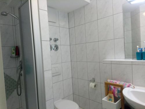 La salle de bains est pourvue d'une douche, de toilettes et d'un lavabo. dans l'établissement FeWo Steibis Lodge, Oberstaufen/Steibis, à Oberstaufen