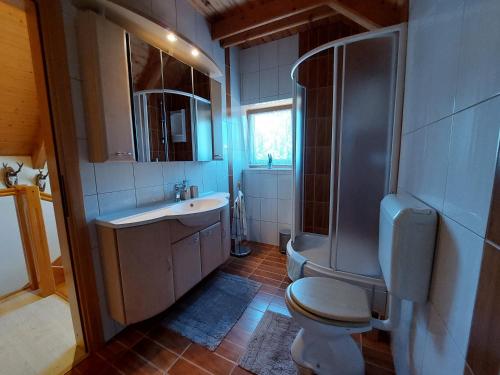 een badkamer met een toilet, een wastafel en een douche bij Holiday home Tihovo in Delnice
