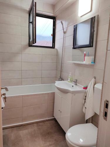 Ein Badezimmer in der Unterkunft Apartament Lupeni/Straja