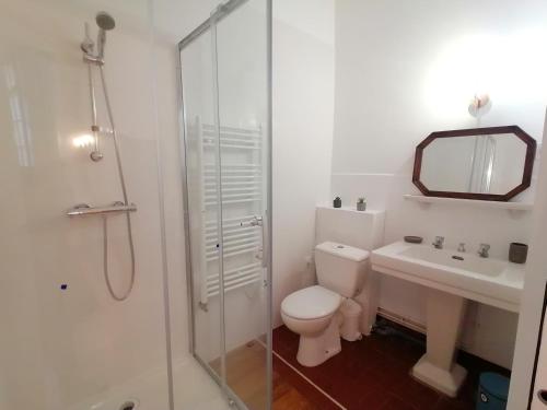 a bathroom with a toilet and a sink and a shower at MAISON ALETEIA*** DECOUVERTE ET SERENITE in Alet-les-Bains