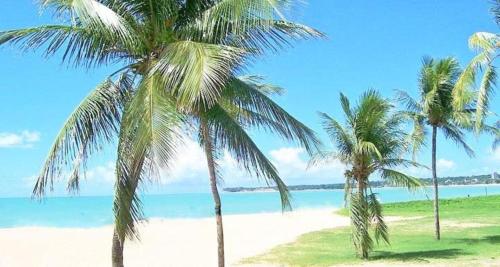 two palm trees on a beach with the ocean at Netuanah Praia Hotel in João Pessoa